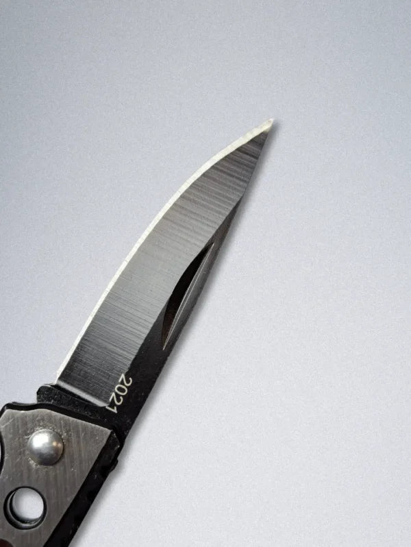 Stainless Steel Pocket Knife with Folding Blade | 2021