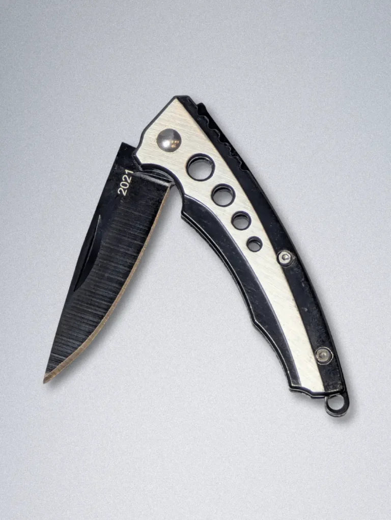 Stainless Steel Pocket Knife with Folding Blade | 2021