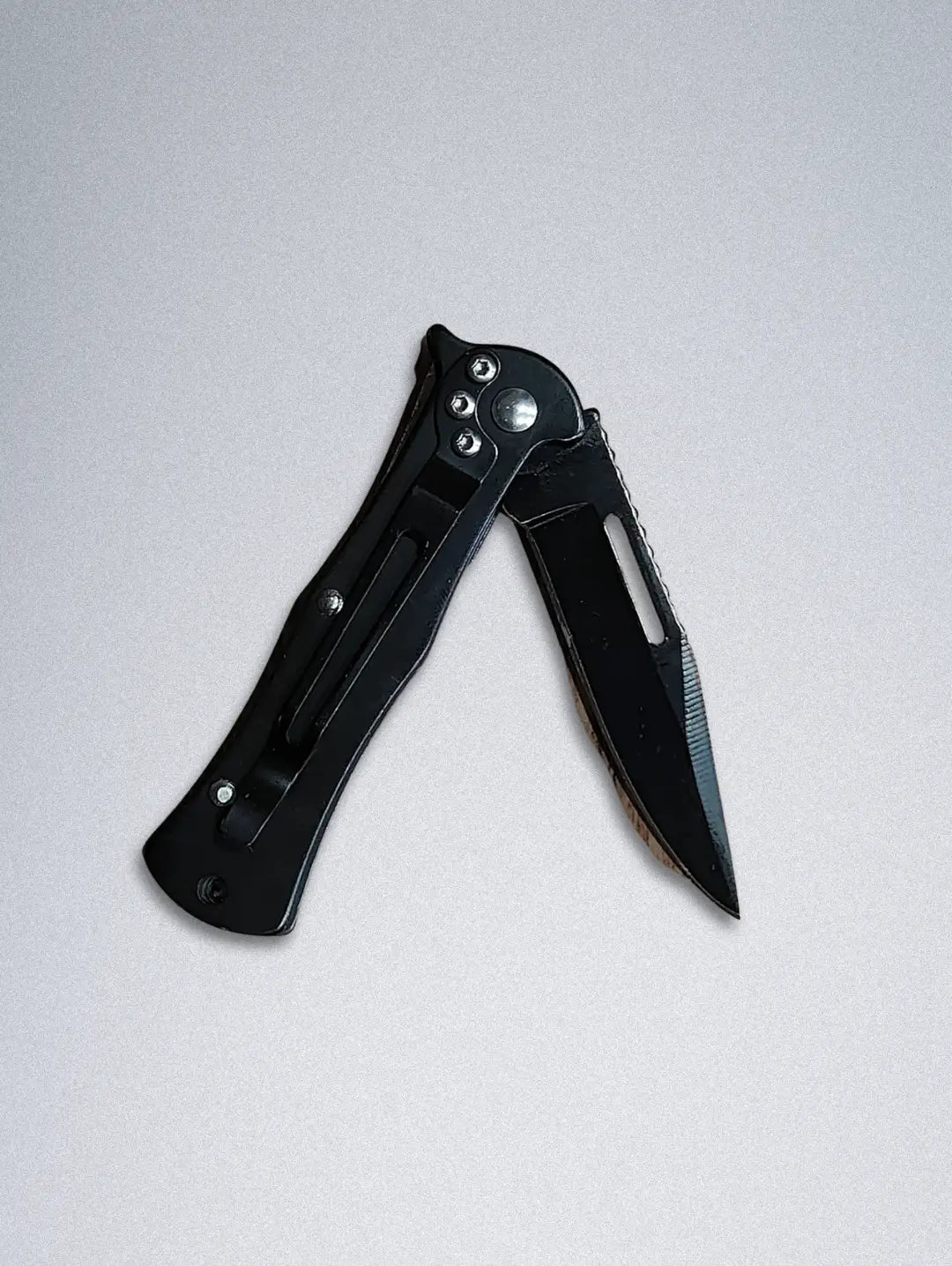 Stainless Steel Pocket Knife with Folding Blade